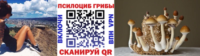 где найти   Остров  Псилоцибиновые грибы MAGIC MUSHROOMS 